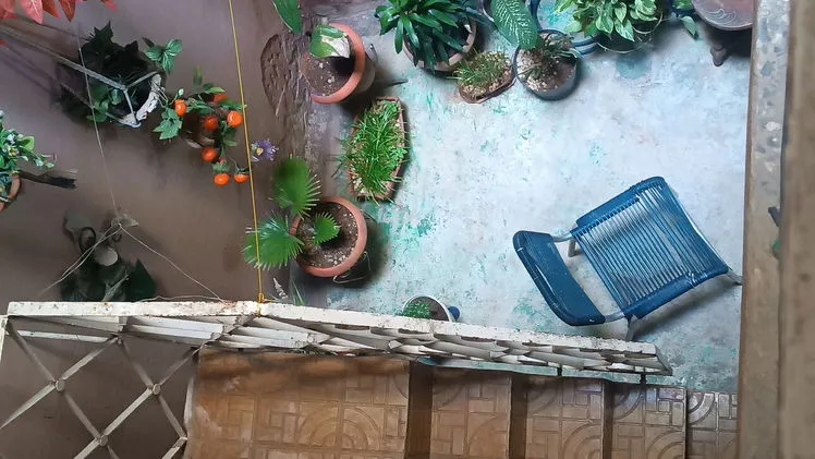 Vista de la propiedad 8