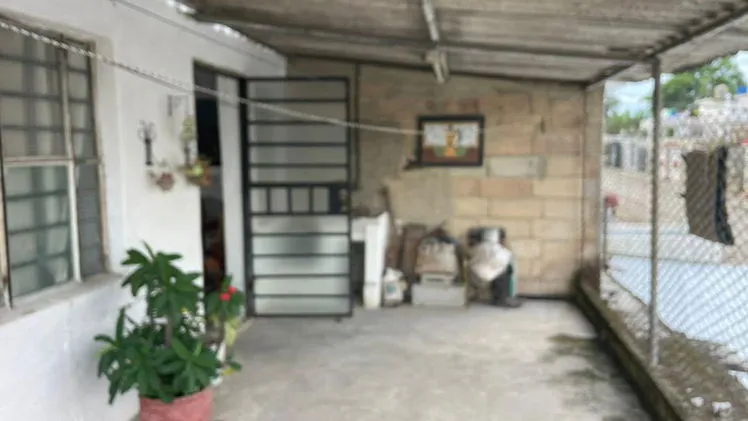 Vista de la propiedad 8