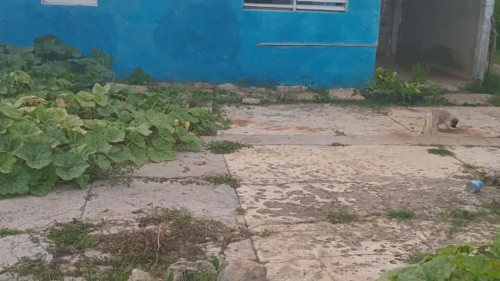 Property view 3