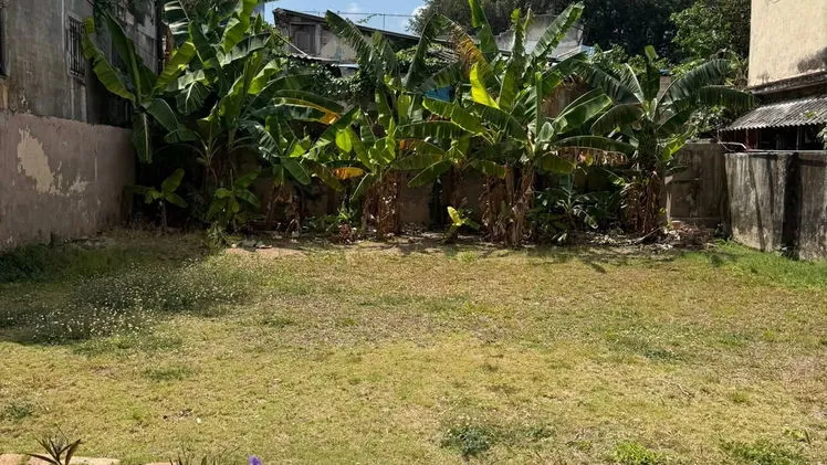Vista de la propiedad 6