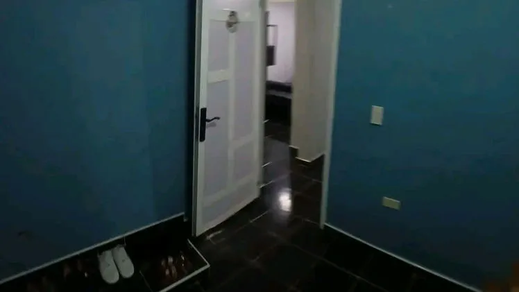 Vista de la propiedad 3