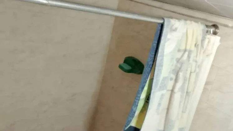 Vista de la propiedad 2