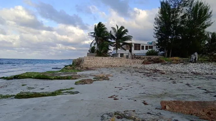 Vista de la propiedad 3