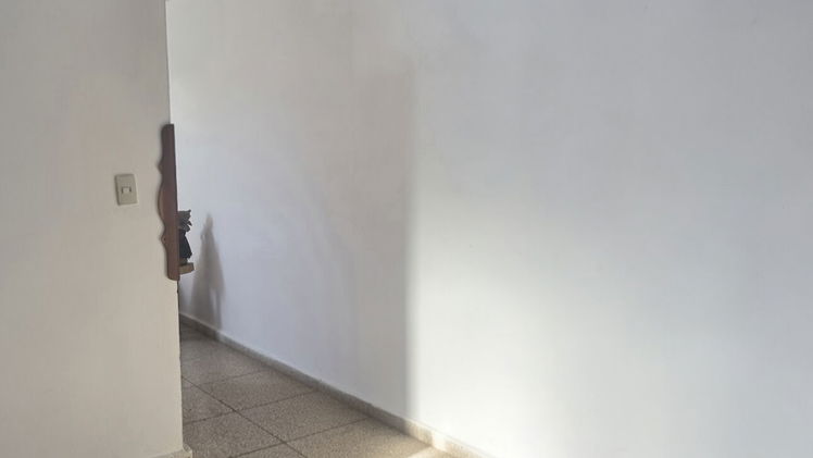 Vista de la propiedad 6