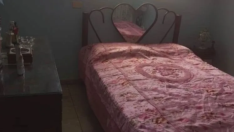 Vista de la propiedad 3
