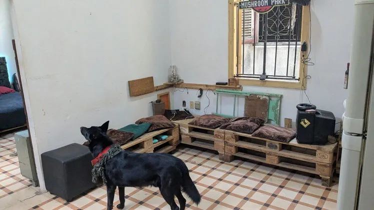 Property view 3