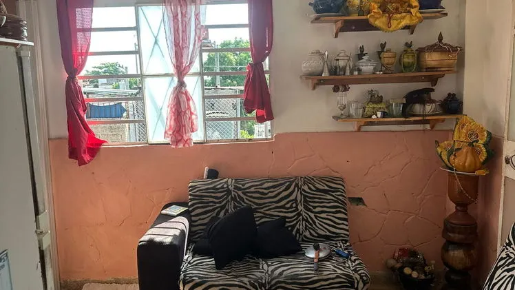Vista de la propiedad 6