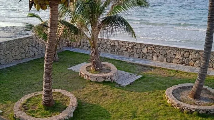 Vista de la propiedad 6
