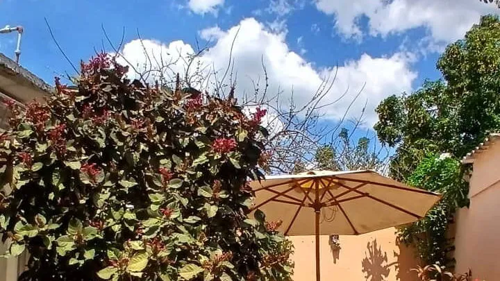 Vista de la propiedad 10