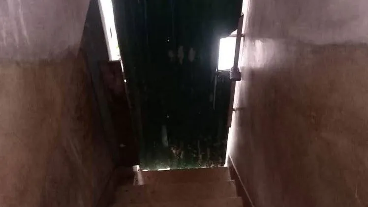 Property main view