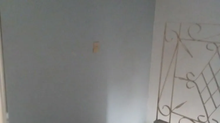 Vista de la propiedad 3