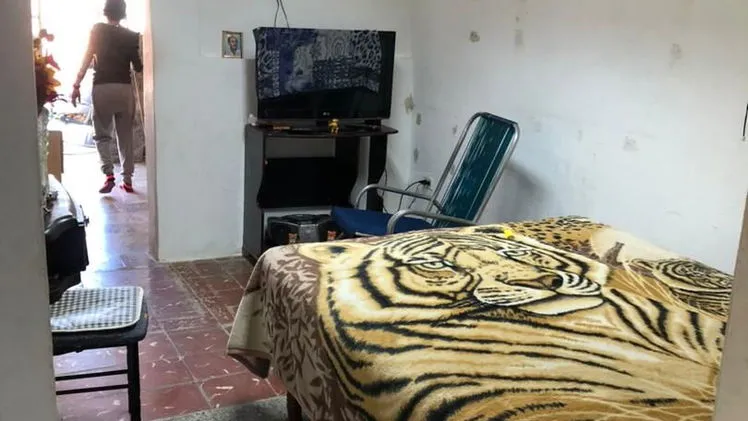 Vista de la propiedad 7