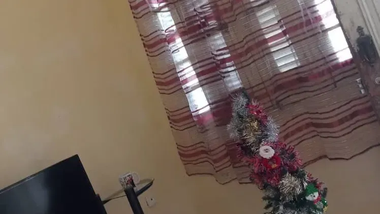Vista de la propiedad 5