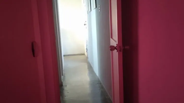 Vista de la propiedad 5