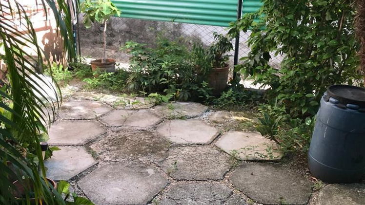 Vista de la propiedad 6