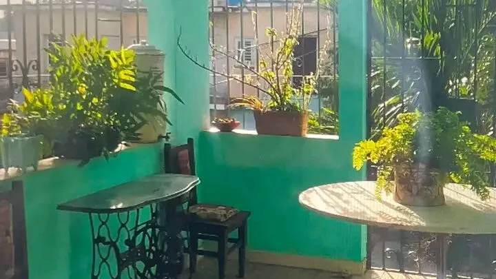 Property main view
