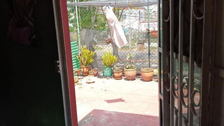 Vista de la propiedad 8