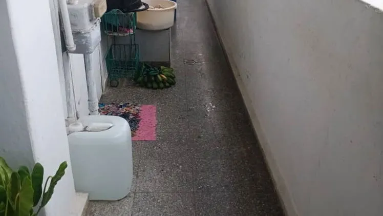 Vista de la propiedad 5