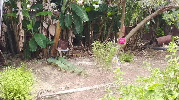 Vista de la propiedad 9