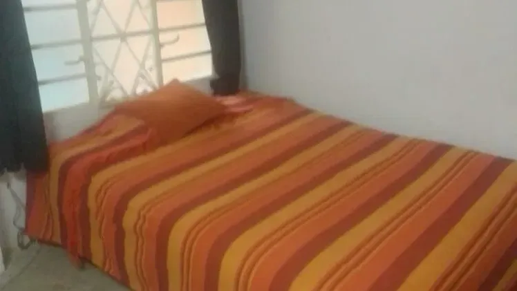 Vista de la propiedad 5
