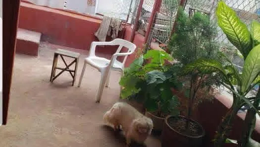 Property view 8