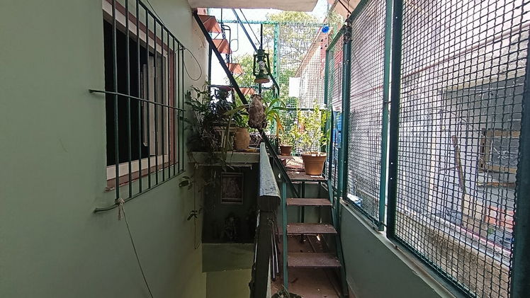 Vista de la propiedad 6