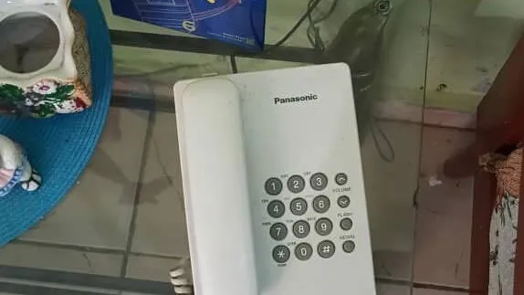 Vista de la propiedad 6