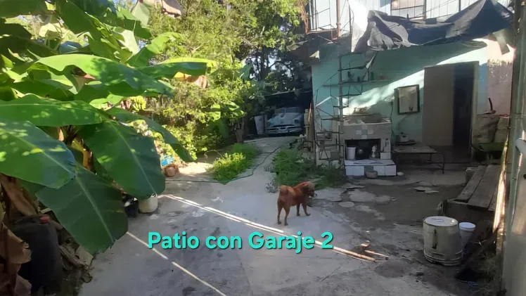 Vista de la propiedad 7