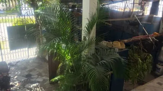 Vista de la propiedad 9