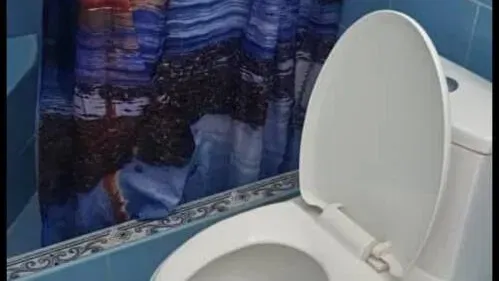 Vista de la propiedad 8