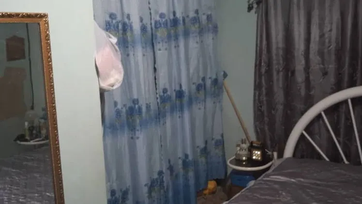 Vista de la propiedad 8