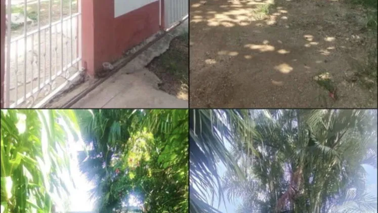 Vista de la propiedad 2