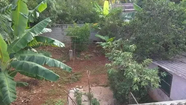 Vista de la propiedad 8
