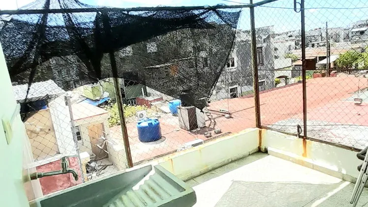 Vista de la propiedad 7