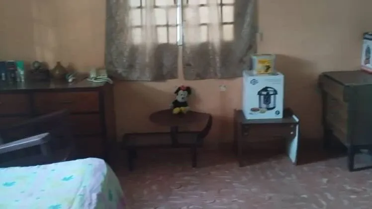 Vista de la propiedad 6