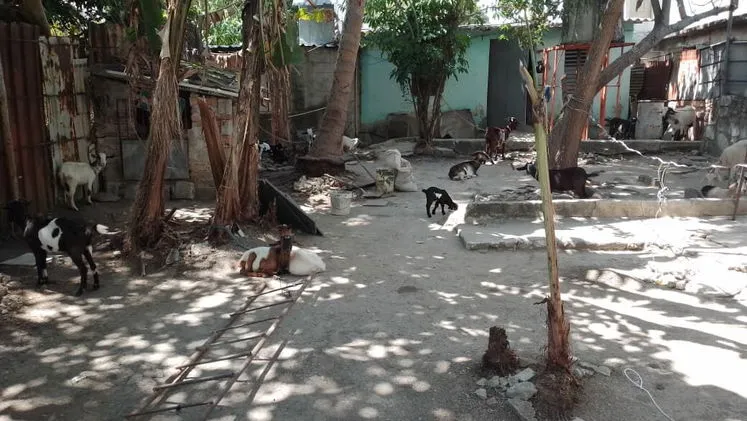 Vista de la propiedad 6