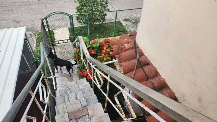 Vista de la propiedad 9