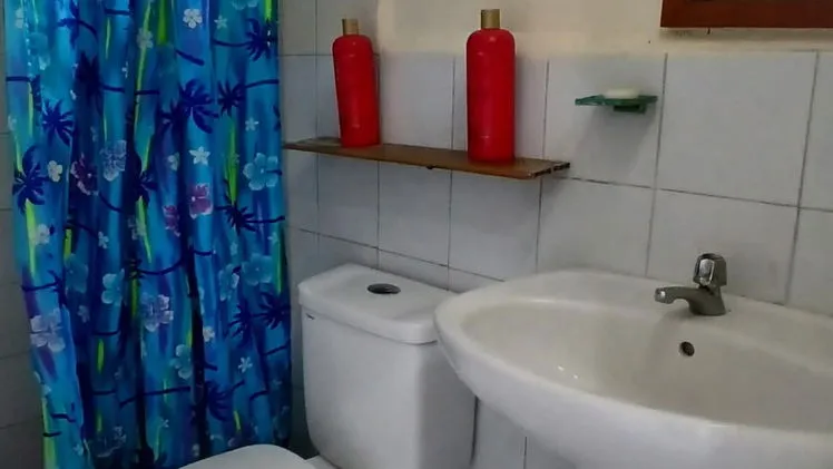 Vista de la propiedad 7