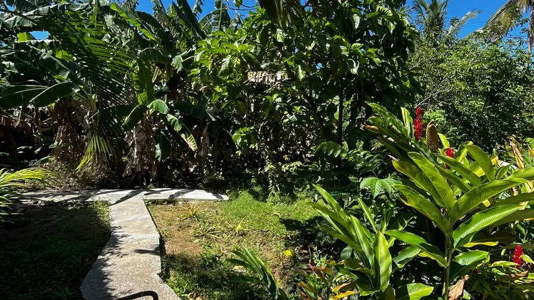 Vista de la propiedad 2