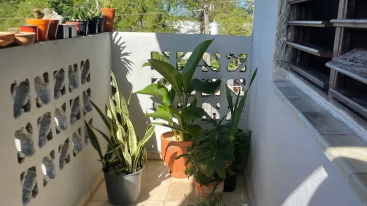 Vista de la propiedad 4