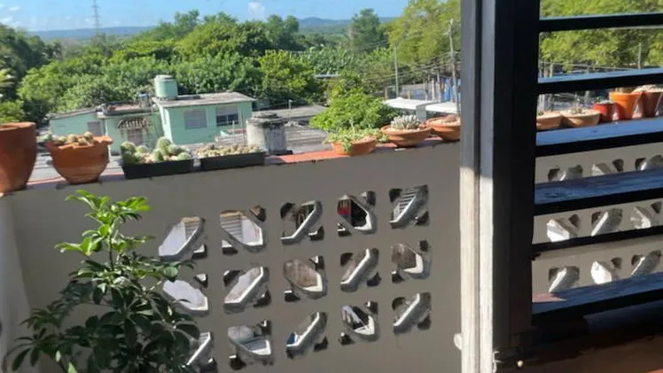Vista de la propiedad 6