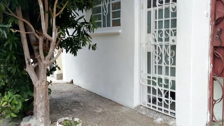 Vista de la propiedad 10