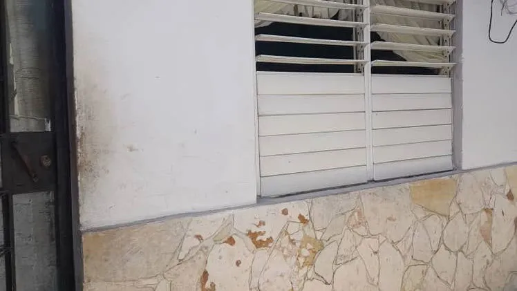 Biplanta interior en Boyeros
