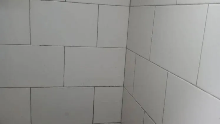 Vista de la propiedad 7
