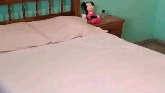 Vista de la propiedad 4