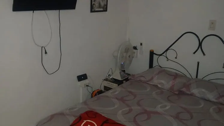 Vista de la propiedad 2