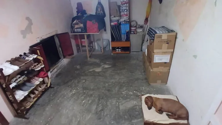 Vista de la propiedad 7