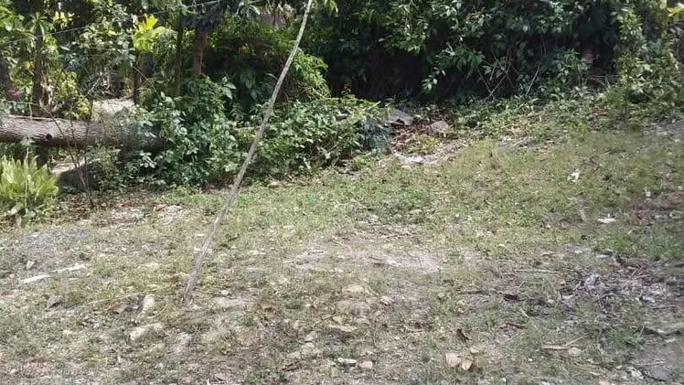 Property view 6