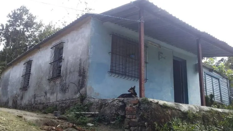 Property view 5