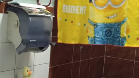 Vista de la propiedad 6